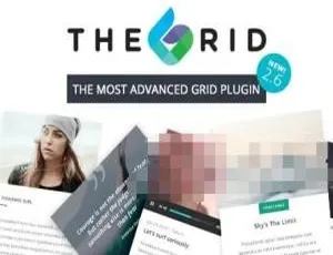 The Grid 2.7.9.1中文汉化版 网格可视化编辑+自定义设计 WordPress高级插件-蓝海网