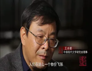百年巨匠 全43集 1080P高清国语中字珍藏版