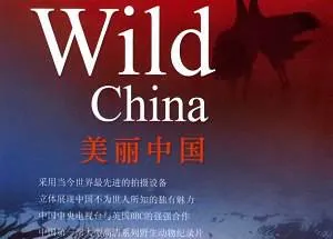 BBC美丽中国纪录片