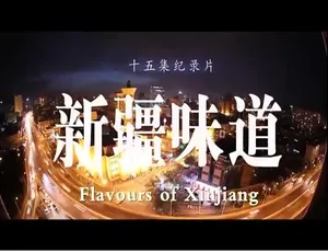 新疆味道 1080P高清国语中字 美食纪录片全15集