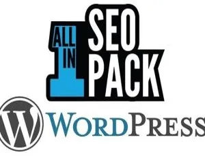 All in One SEO Pro 4.4.4汉化版：WordPress专业SEO插件高效优化指南-蓝海网