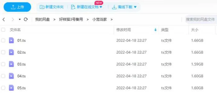 宠物独居生活纪实