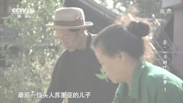 跨国茶文化纪录片