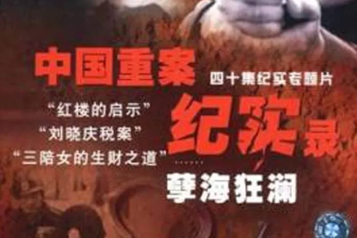 重大刑事案件纪实