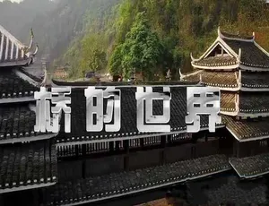 桥的世界纪录片全集：蓝光高清5集完整版