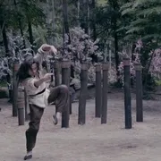 苏乞儿醉拳宗师