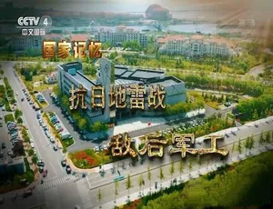 抗日地雷战纪录片全2集蓝光TS中文字幕