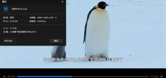 吕克·雅盖纪录片