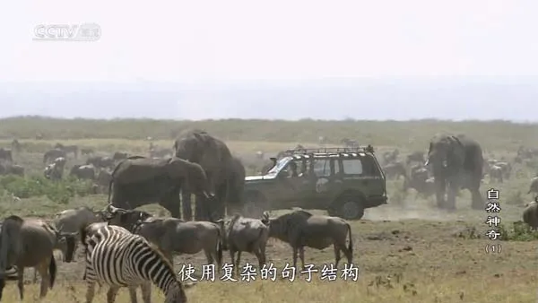 濒危生物实录