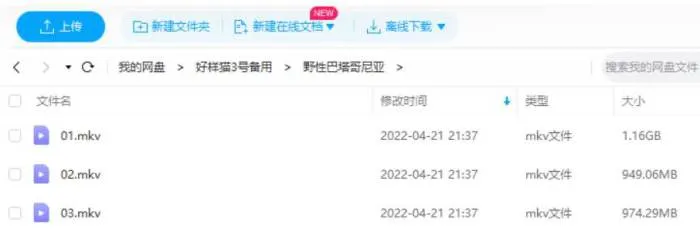 巴塔哥尼亚纪录片