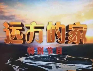 美食过大年纪录片 全五集高清合集