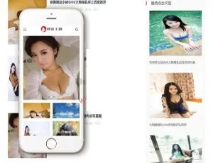 响应式自适应手机端博客新闻网站源码 织梦CMS模板