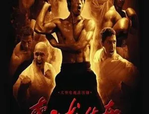 《李小龙传奇》2008 陈国坤 王洛勇 国粤双语 50集全