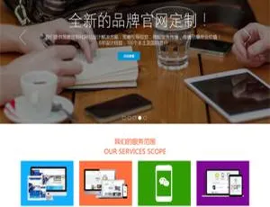 DiscuzX3.2新春企业官网GBK专业模板