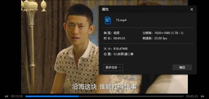 余罪全2季