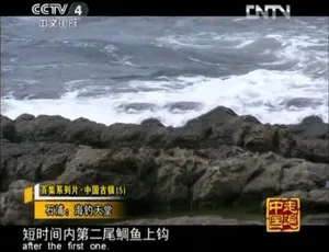 中国古镇全100集高清国语中字纪录片