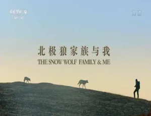 北极狼家族与我 Snow Wolf Family and Me 高清纪录片 TS蓝光完整版 全3集 中文字幕