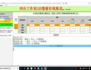 高效动态表格生成数据管理系统2020.02版
