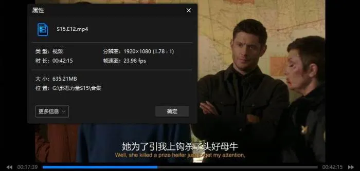 邪恶力量高清英语中字