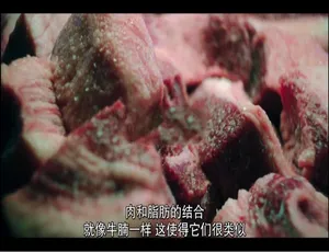 塔可美食纪大发现第二季全7集英语中字