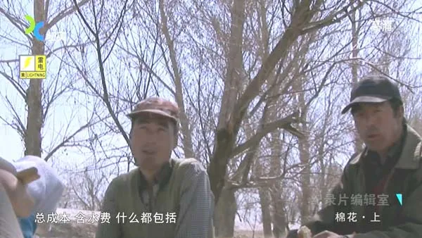 中国纪录片棉花