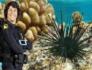 Andy’s Aquatic Adventures 安迪的海底探险 英文版动画 全2季30集 高清英文字幕