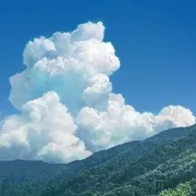 细田守