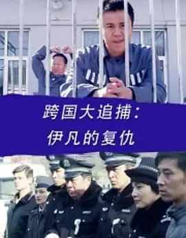 跨国追凶完整版
