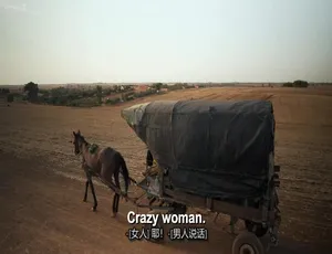 90天未婚夫：另一种方式 离开美国结婚 90 Day Fiance: The Other Way 第四季全17集 高清1080P 英语中文字幕-蓝海网