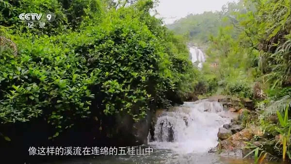 味道中山2014