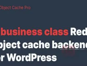 Redis Cache Pro专业版：高效缓存优化加速WordPress插件-蓝海网