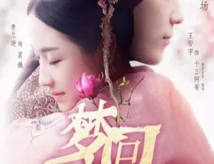 2019大陆剧梦回 40集全 国语中字 HD-MP4 720p高清