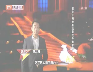 BTV档案2012：梅艳芳戏里戏外的悲情人生 720p高清-蓝海网