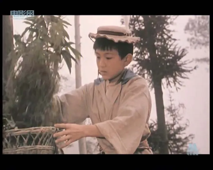 熊猫历险记1983电影