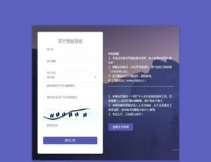 C238个人免签支付系统 微信支付宝即时到账 轻量高效 实时通知-蓝海网