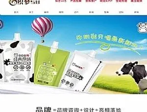 品牌包装设计公司官网模板 企业响应式建站源码-蓝海网