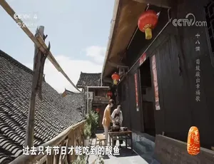 记住乡愁 第九季 全60集 720P高清 国语中字