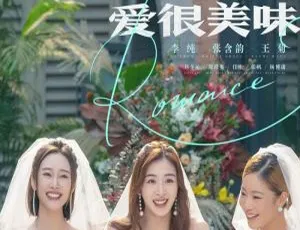 爱很美味 全20集完整版 叶大鹰导演 高清1080P国语中字-蓝海网