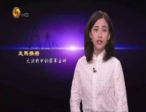 凤凰大视野2015纪录片全集 高清720P/1080i全47部珍藏