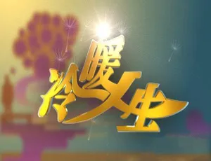 冷暖人生2017 高清典藏版 社会纪实纪录片全集