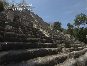 世界遗产纪录片全集 2015-2018 高清1080P 日语中文字幕