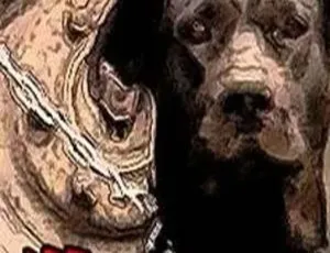2001贾樟柯中国独立电影狗的状况-蓝海网