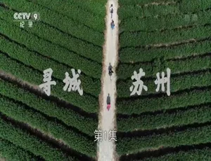 寻城苏州 高清全2集 国语中字纪录片