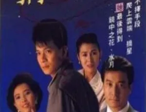 摘星的女人 1989 香港电视剧-蓝海网
