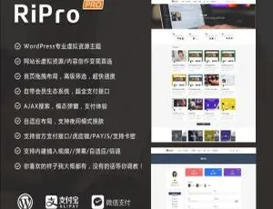 WordPress主题RiPro专业多功能企业级解决方案
