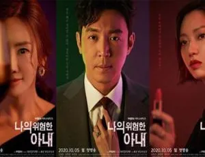 2020韩国悬疑剧我的危险妻子全集韩语中字高清720p-蓝海网