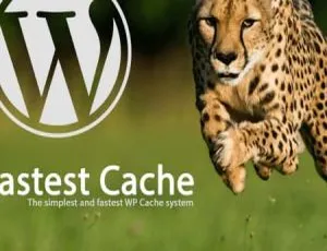 WP Fastest Cache Premium 1.7.0中文汉化版-WordPress全站静态缓存加速优化插件-蓝海网