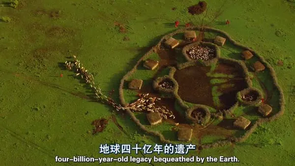 2009法国纪录片家园