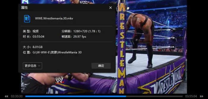 WWE摔角狂热全季