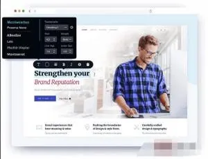 Brizy Pro 2.2.2中文版：可视化页面设计WordPress插件-蓝海网